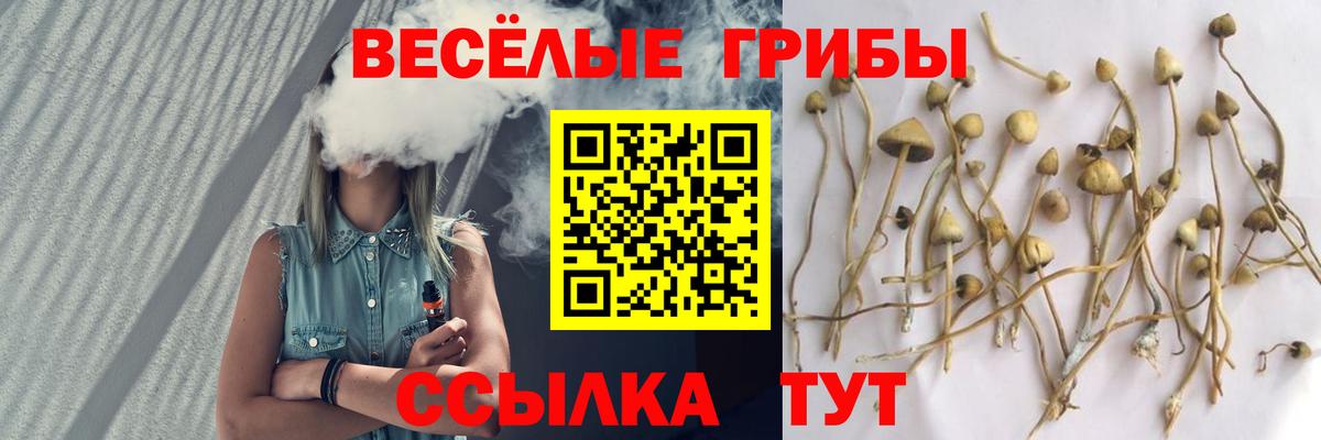 Галлюциногенные грибы мицелий Губкинский
